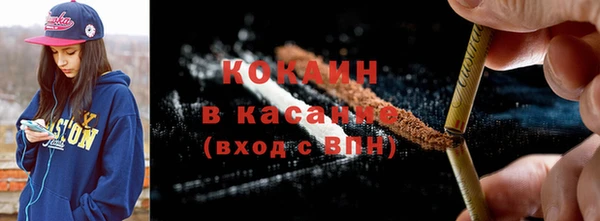 индика Богданович