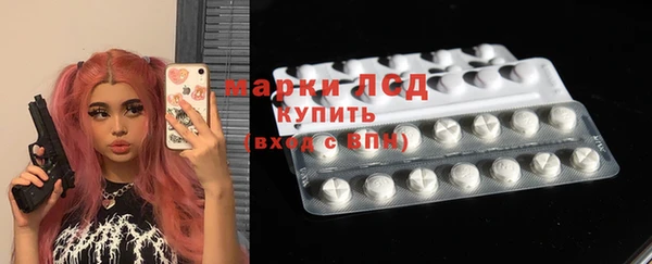 индика Богданович