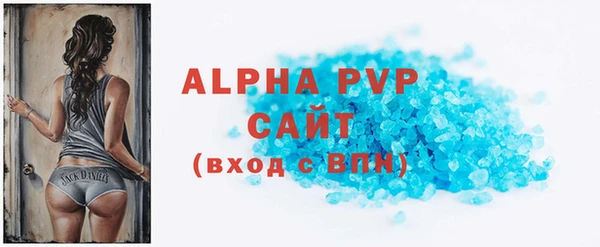 индика Богданович