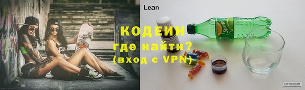 индика Богданович