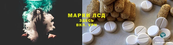 индика Богданович