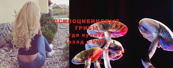 а пвп мука Богородск
