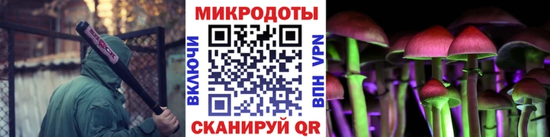 Псилоцибиновые грибы Cubensis  где купить наркоту  Пятигорск 