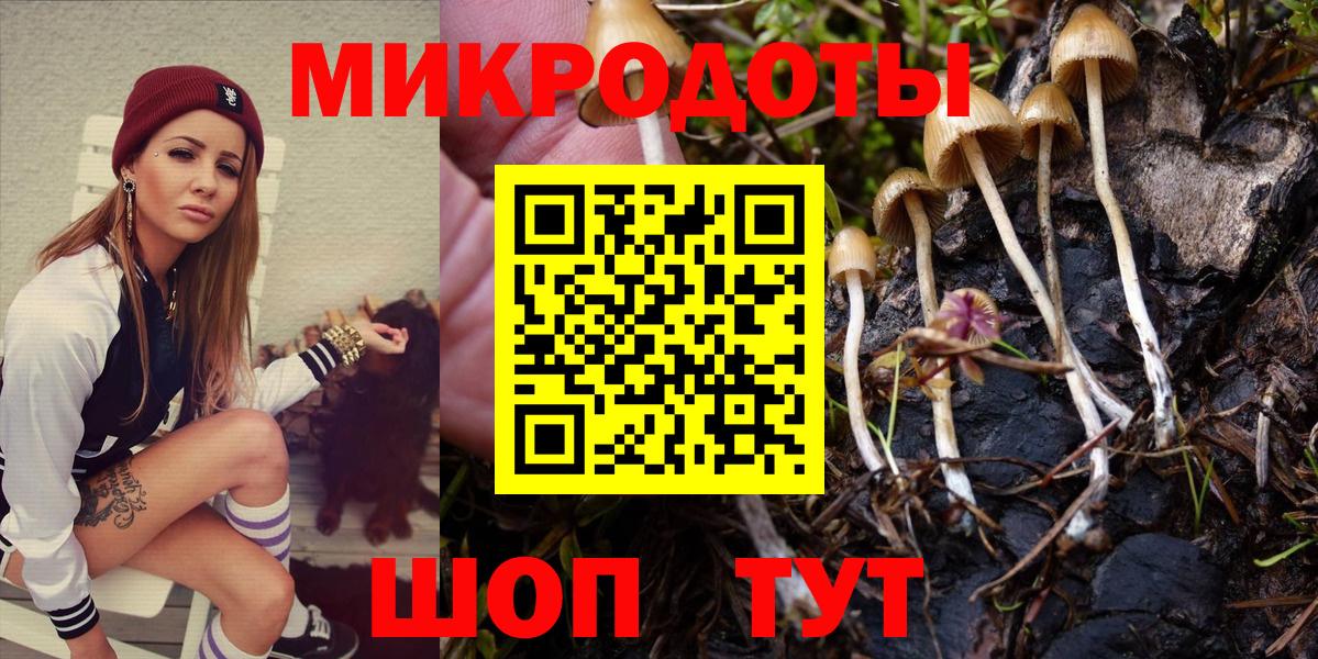 Псилоцибиновые грибы Cubensis Пятигорск